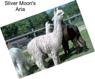 Sliver Moon\'s Aria