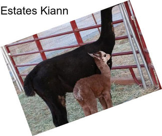Estates Kiann