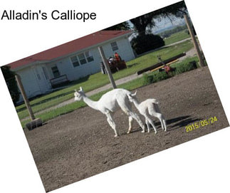 Alladin\'s Calliope