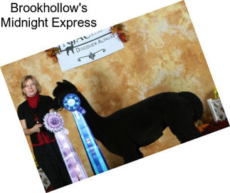 Brookhollow\'s Midnight Express