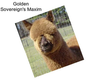 Golden Sovereign\'s Maxim