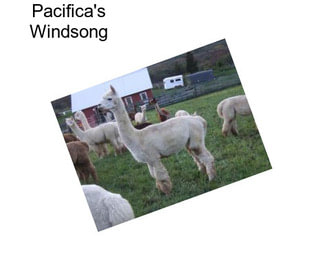 Pacifica\'s Windsong
