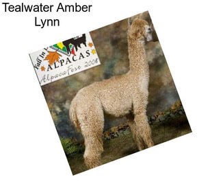 Tealwater Amber Lynn