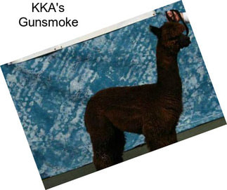 KKA\'s Gunsmoke