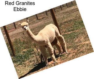 Red Granites Ebbie