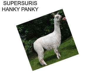 SUPERSURIS HANKY PANKY