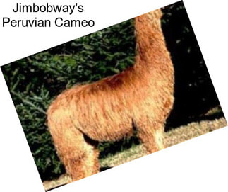 Jimbobway\'s Peruvian Cameo