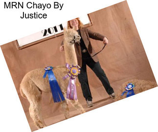 MRN Chayo By Justice