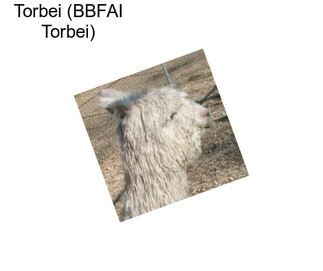 Torbei (BBFAI Torbei)