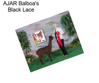 AJAR Balboa\'s Black Lace