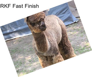 RKF Fast Finish