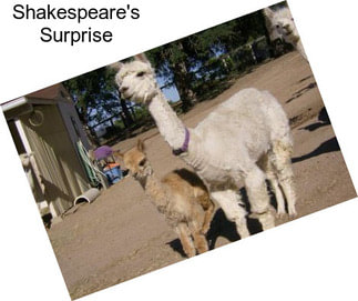 Shakespeare\'s Surprise