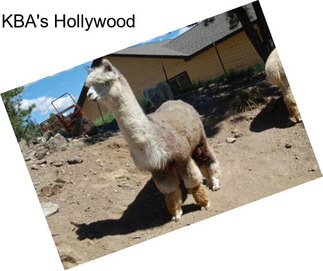 KBA\'s Hollywood