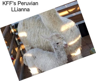 KFF\'s Peruvian LLianna