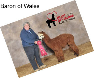 Baron of Wales