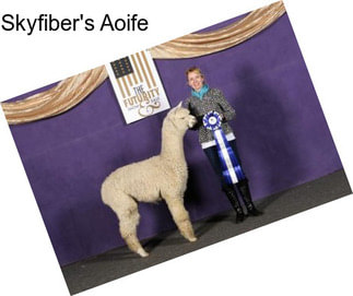 Skyfiber\'s Aoife