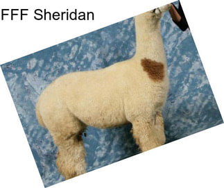 FFF Sheridan