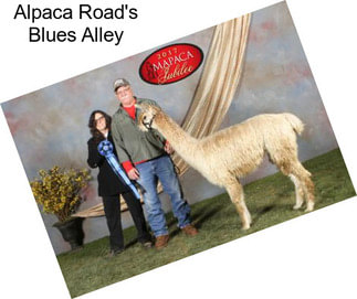 Alpaca Road\'s Blues Alley