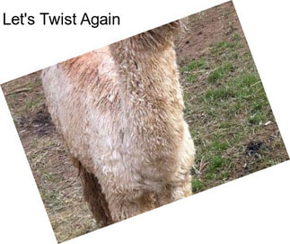 Let\'s Twist Again