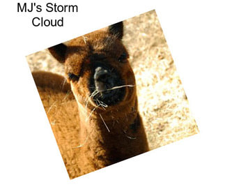 MJ\'s Storm Cloud
