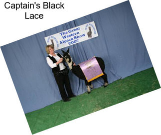 Captain\'s Black Lace