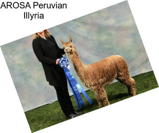 AROSA Peruvian Illyria
