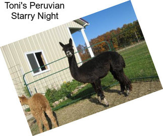 Toni\'s Peruvian Starry Night