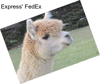 Express\' FedEx