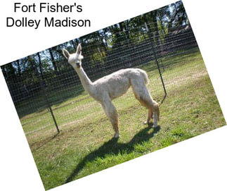 Fort Fisher\'s Dolley Madison