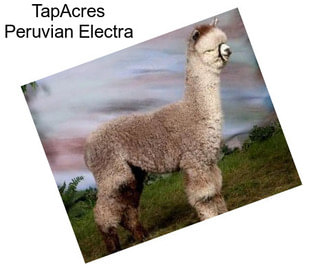 TapAcres Peruvian Electra