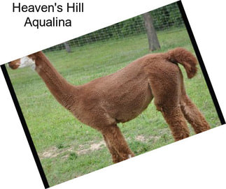 Heaven\'s Hill Aqualina