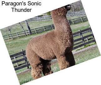 Paragon\'s Sonic Thunder