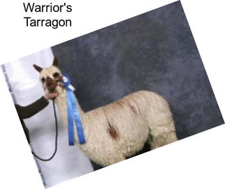 Warrior\'s Tarragon