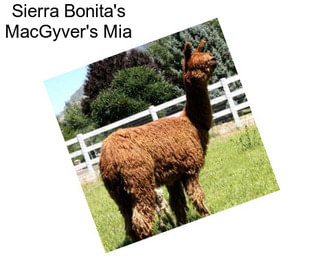 Sierra Bonita\'s MacGyver\'s Mia