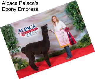 Alpaca Palace\'s Ebony Empress
