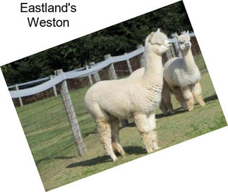 Eastland\'s Weston