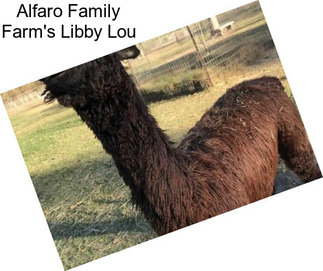 Alfaro Family Farm\'s Libby Lou