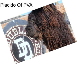 Placido Of PVA