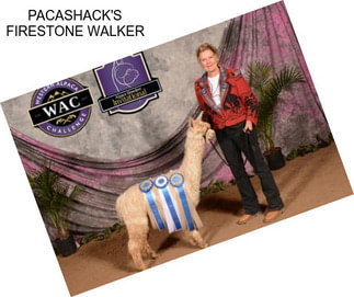 PACASHACK\'S FIRESTONE WALKER