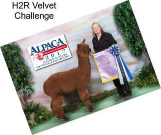 H2R Velvet Challenge