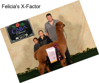 Felicia\'s X-Factor