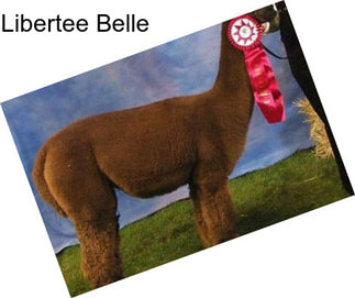 Libertee Belle