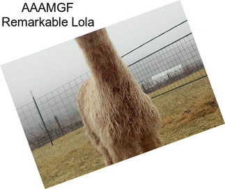 AAAMGF Remarkable Lola