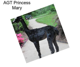 AGT Princess Mary