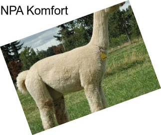 NPA Komfort