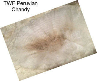 TWF Peruvian Chandy