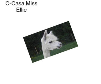 C-Casa Miss Ellie
