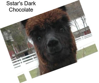 Sstar\'s Dark Chocolate