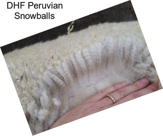 DHF Peruvian Snowballs