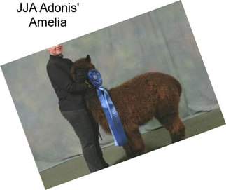 JJA Adonis\' Amelia
